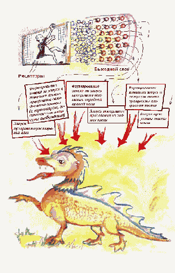 Модель мозга